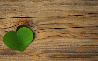 What is Gestalt Therapy?