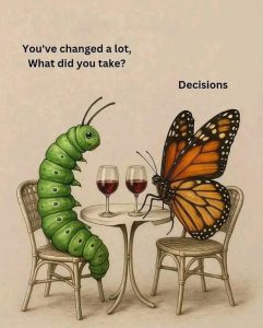 Illustration of a caterpillar and a butterfly sitting at a table with wine glasses. The caterpillar asks, “You’ve changed a lot, what did you take?” and the butterfly replies, “Decisions.”